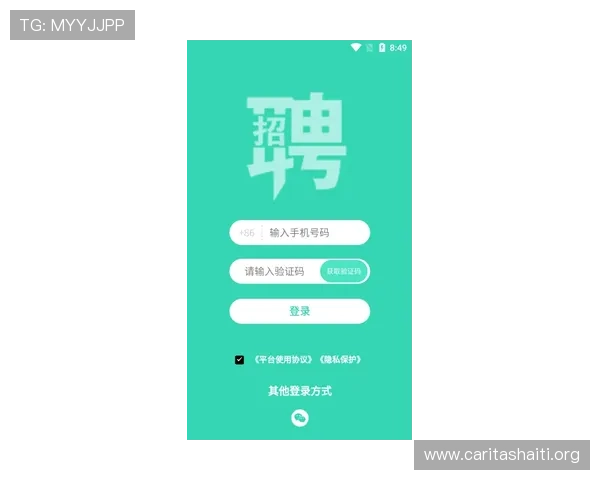 壹号平台官网首页登录入口最新更新及安全保障措施