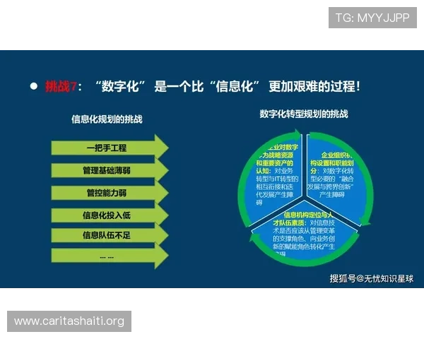 壹号数字站:全面解析数字化转型中的关键策略与实践经验 壹号数字站:全面解析数字化转型中的关键策略与实践经验